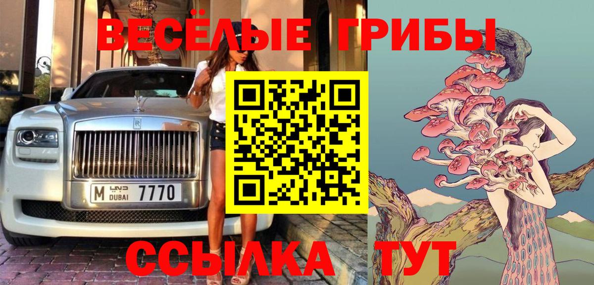 Псилоцибиновые грибы Psilocybe Заводоуковск