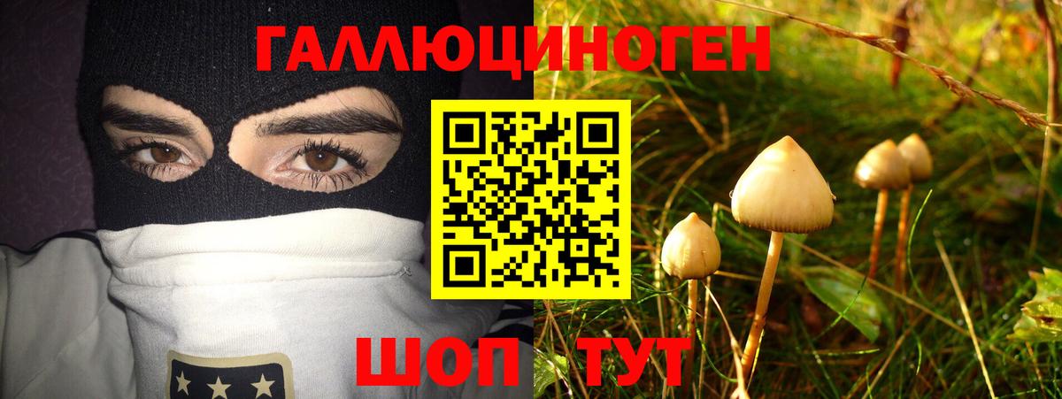 купить наркотик  Вход с VPN  Заводоуковск  Галлюциногенные грибы Cubensis 